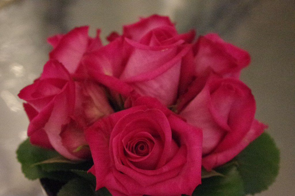 roses rouge